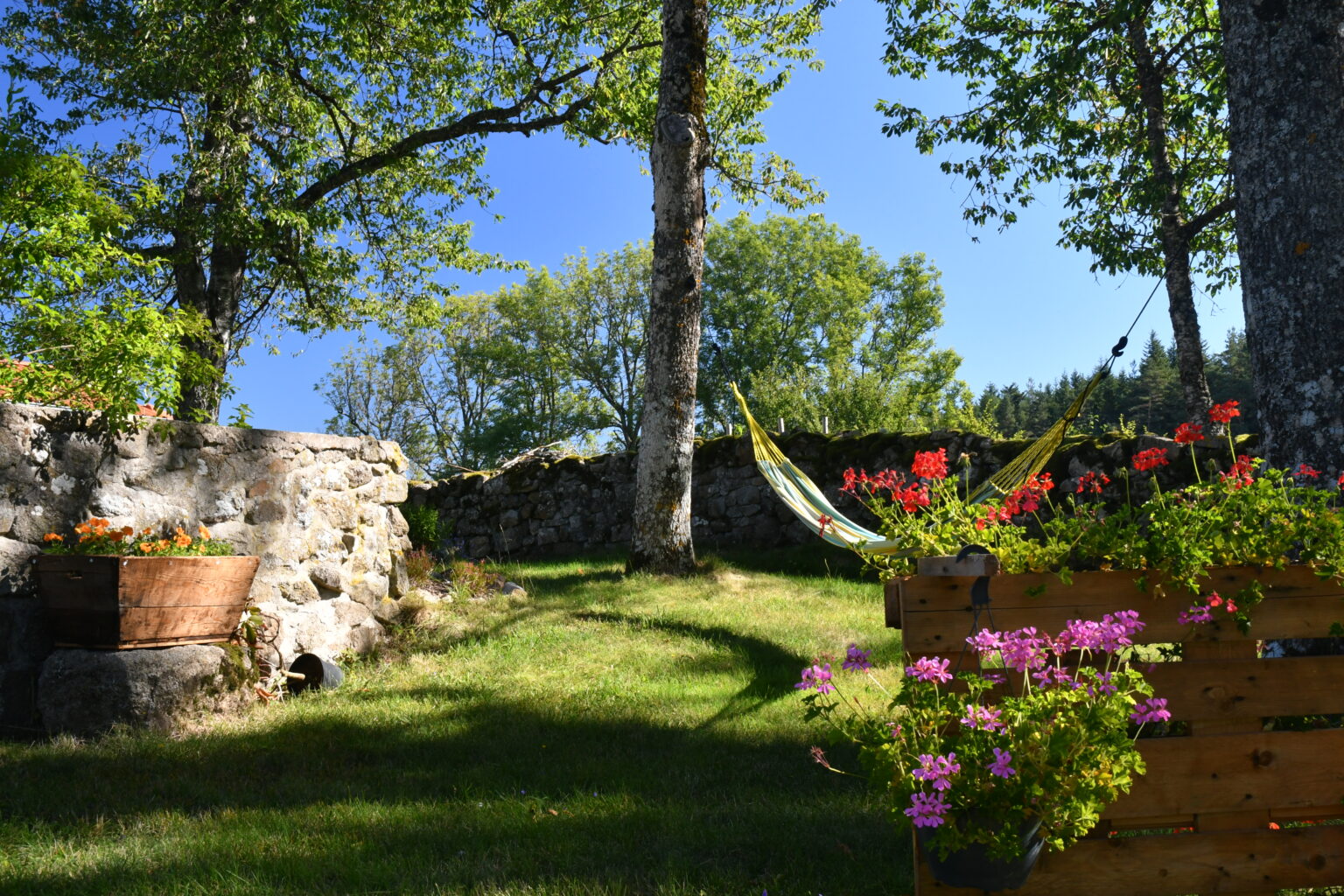 La détente à l'ombre des arbres